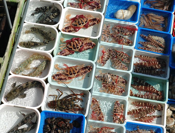https://eshte-na-zdorovje.ru/cook/photo/Exotic_cuisine/vietnam.jpg