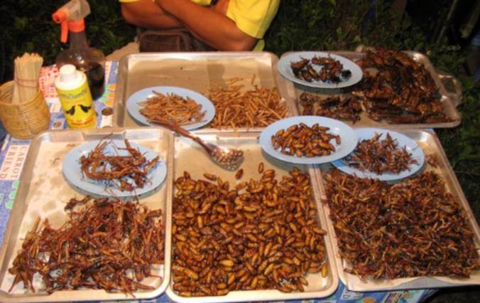 https://eshte-na-zdorovje.ru/cook/photo/Exotic_cuisine/thai-food.jpg