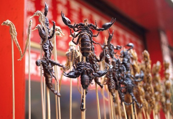 https://eshte-na-zdorovje.ru/cook/photo/Exotic_cuisine/skorpion.jpg