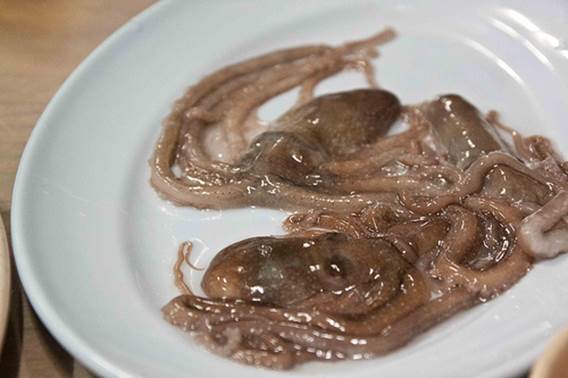 https://eshte-na-zdorovje.ru/cook/photo/Exotic_cuisine/osminog.jpg