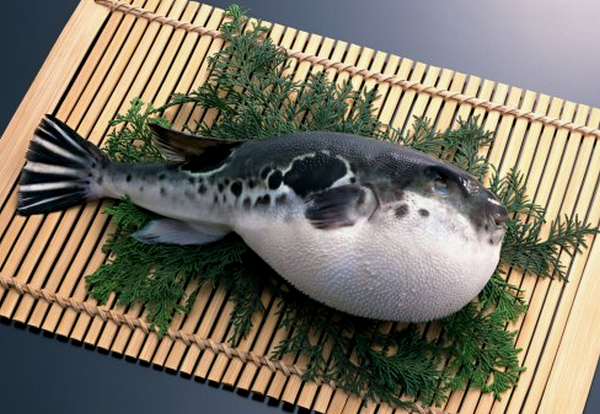 https://eshte-na-zdorovje.ru/cook/photo/Exotic_cuisine/fugu.png