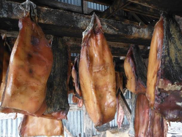 https://eshte-na-zdorovje.ru/cook/photo/Exotic_cuisine/hakarl.jpg
