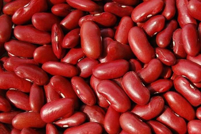 https://eshte-na-zdorovje.ru/cook/photo/Latin-American_cuisine/krasn_fasol.jpg