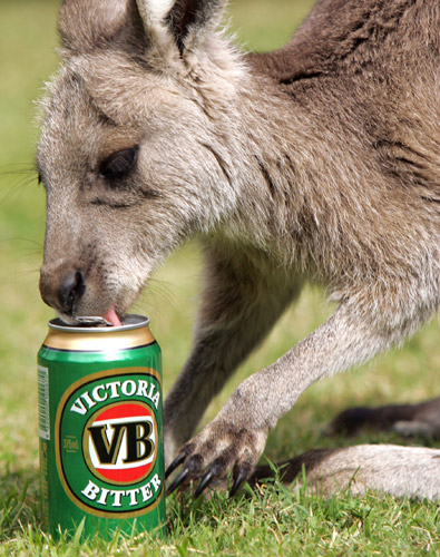 https://eshte-na-zdorovje.ru/cook/photo/Australian_and_Oceanian_cuisine/VB-Free-Beer.jpg