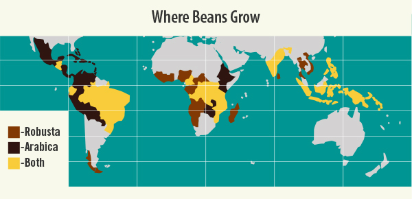 Where Arabica and Robusta Coffee Are Grown