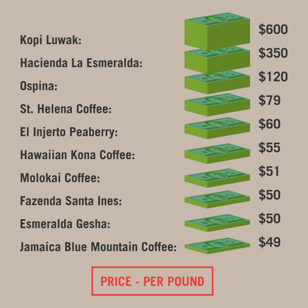 Top 10 Most Expensive Coffee Beans in the World