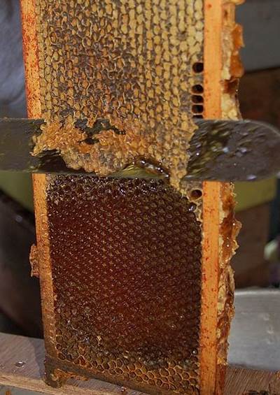 https://eshte-na-zdorovje.ru/cook/photo/honey/2.jpg