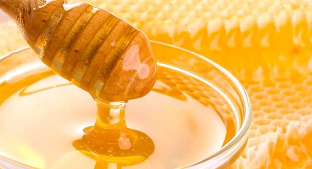 https://eshte-na-zdorovje.ru/cook/photo/honey/4.jpg