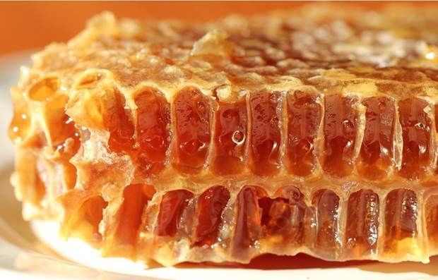 https://eshte-na-zdorovje.ru/cook/photo/honey/6.jpg