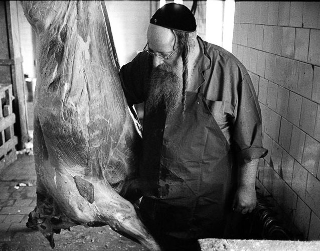 koshernoe.jpg
