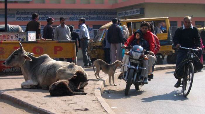 India.jpg